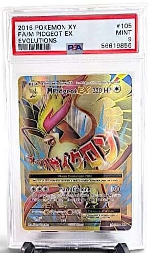 M Pidgeot EX