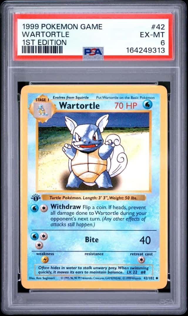 Wartortle