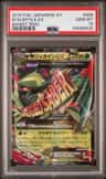 M Sceptile Ex