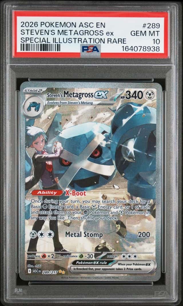 STEVEN'S METAGROSS ex