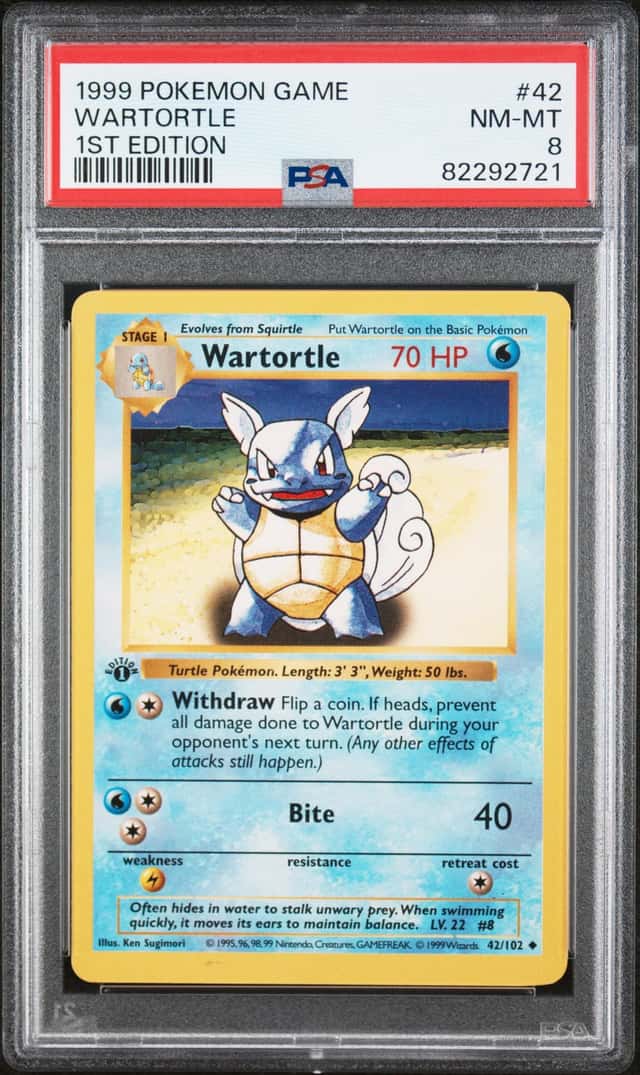 Wartortle