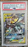 Pikachu & Zekrom Gx