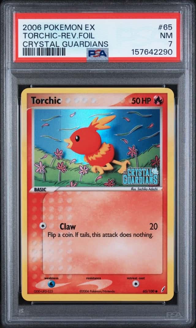 Torchic
