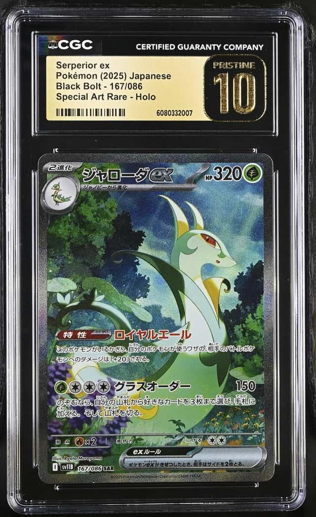 SERPERIOR ex