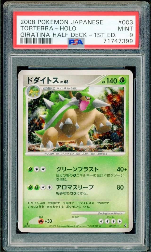 Torterra