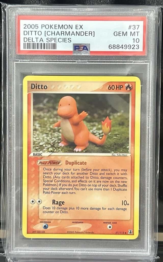 Ditto [Charmander]