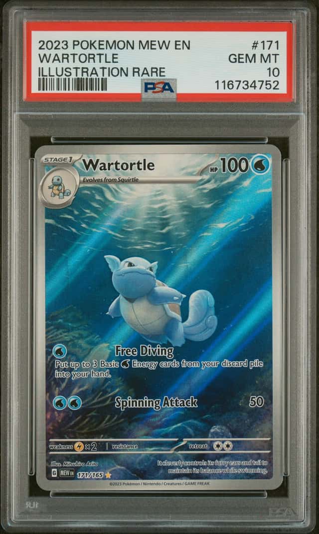 Wartortle
