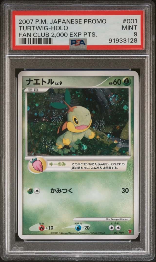 Turtwig
