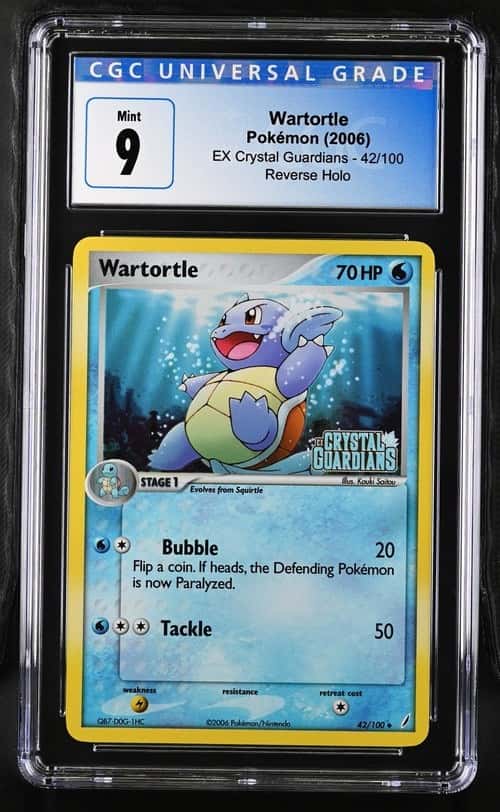 Wartortle
