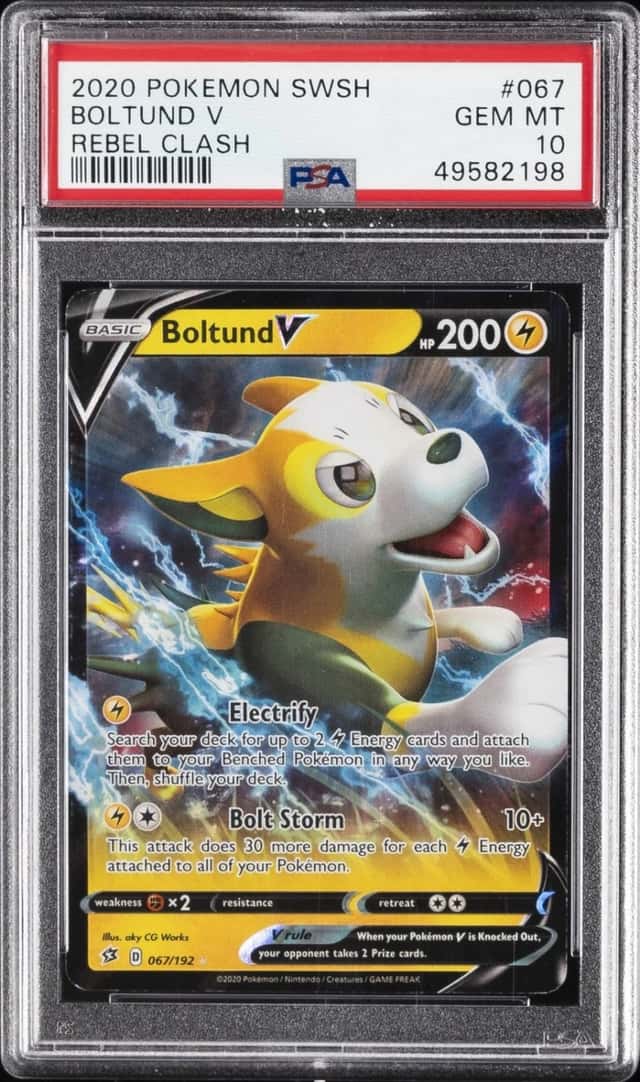 Boltund V