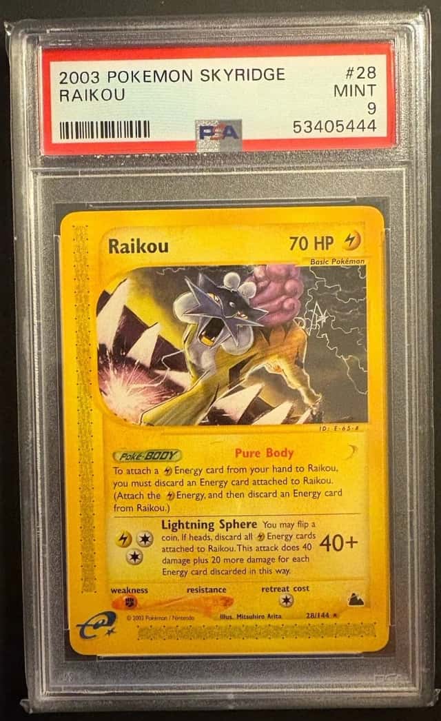 Raikou