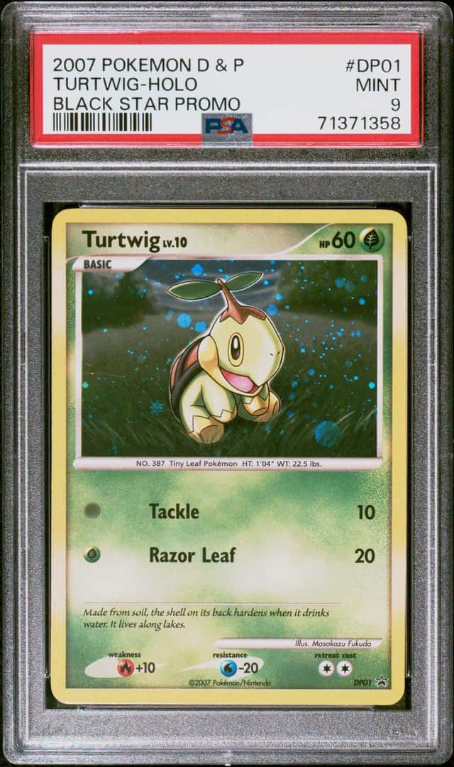 Turtwig