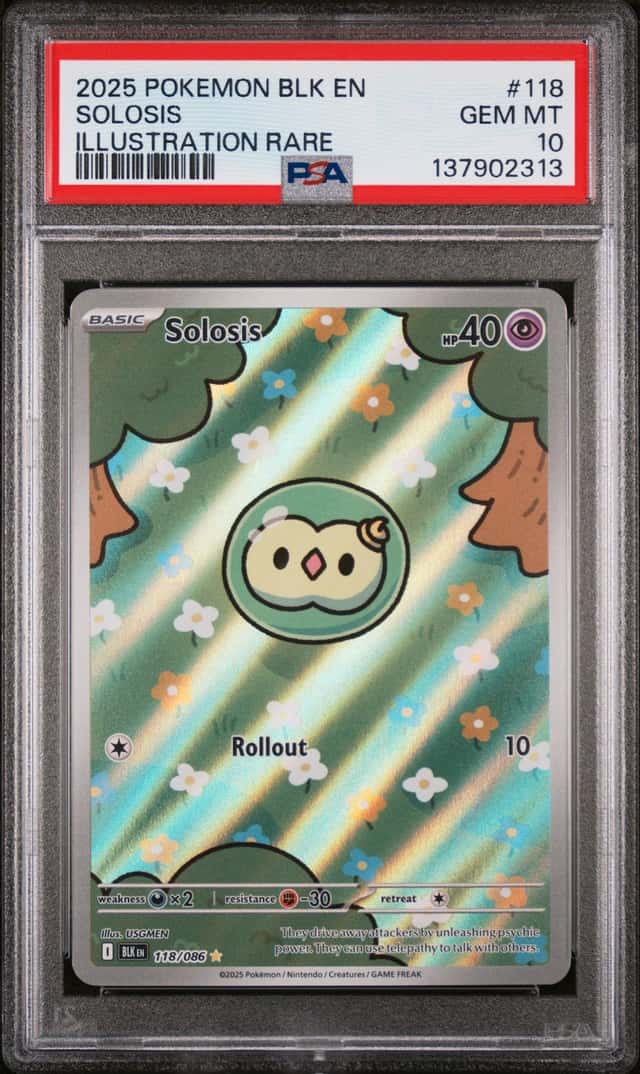 Solosis