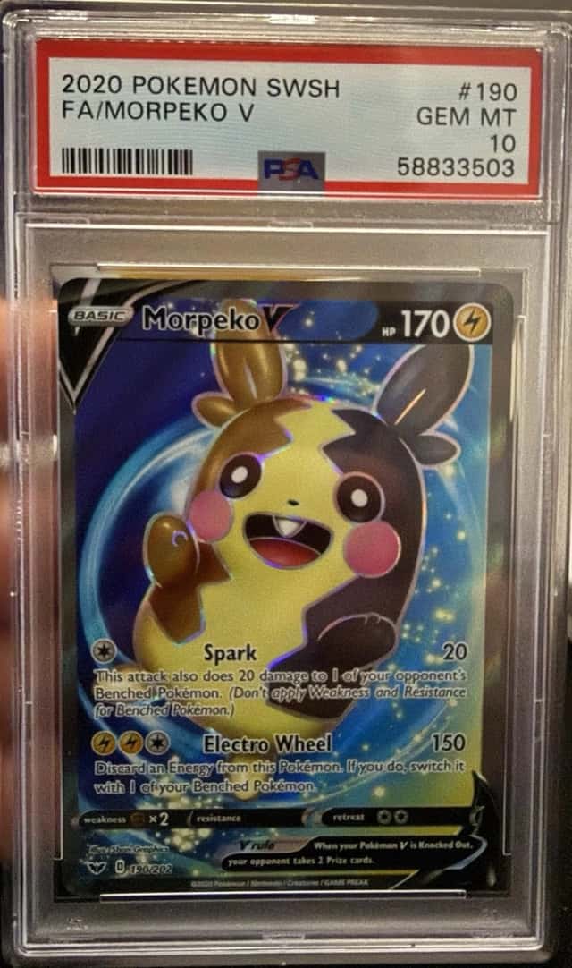 Morpeko V