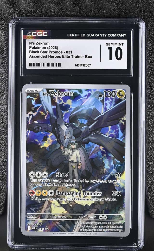 N's Zekrom