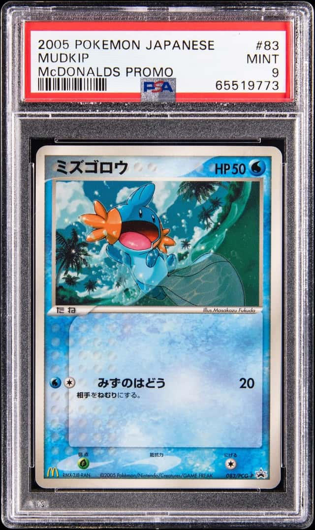 Mudkip