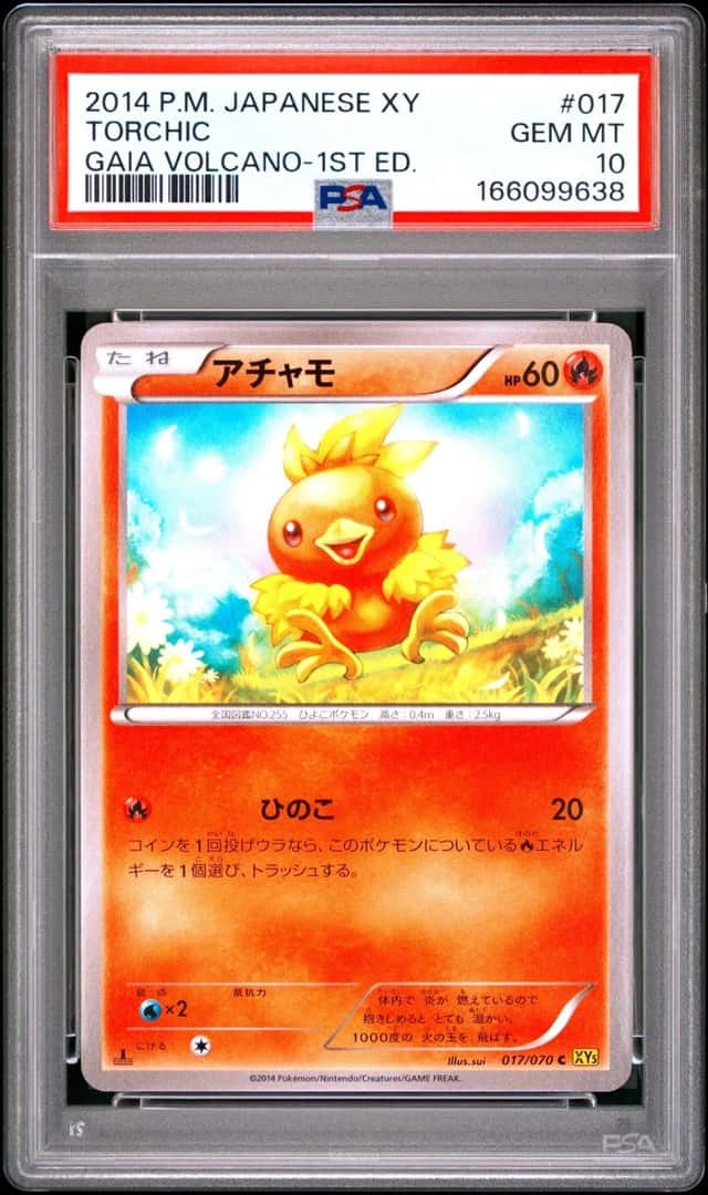 Torchic