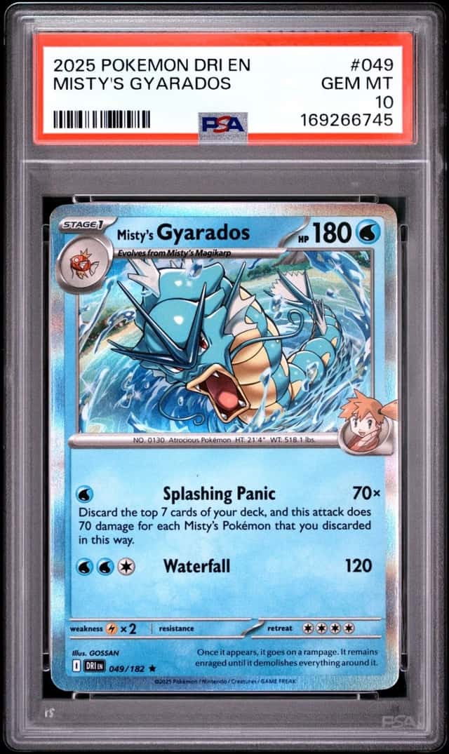 Misty's Gyarados