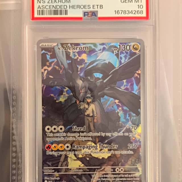 N's Zekrom