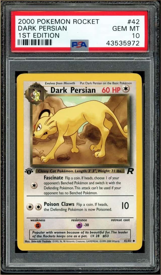 Dark Persian