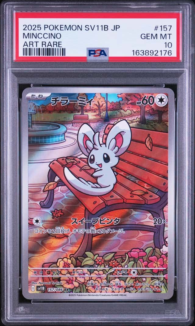 Minccino