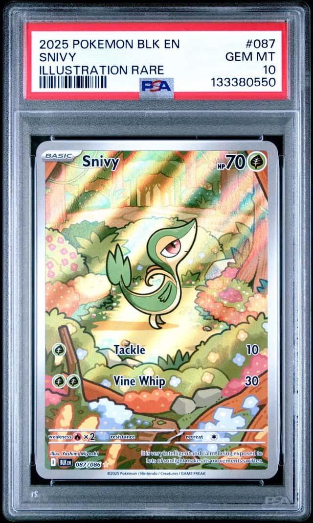 Snivy