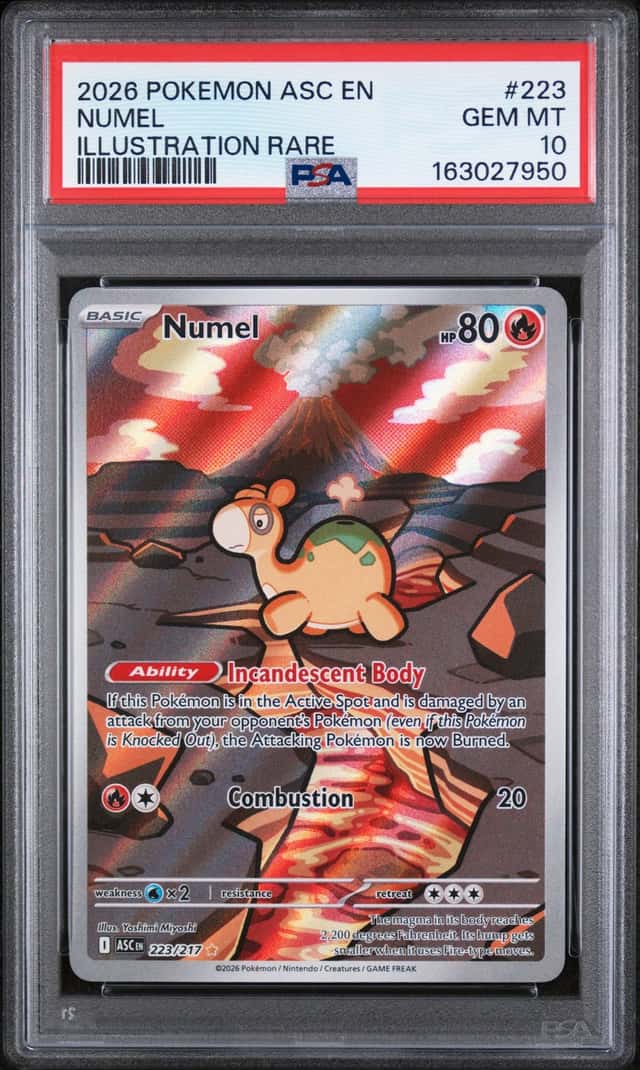 Numel