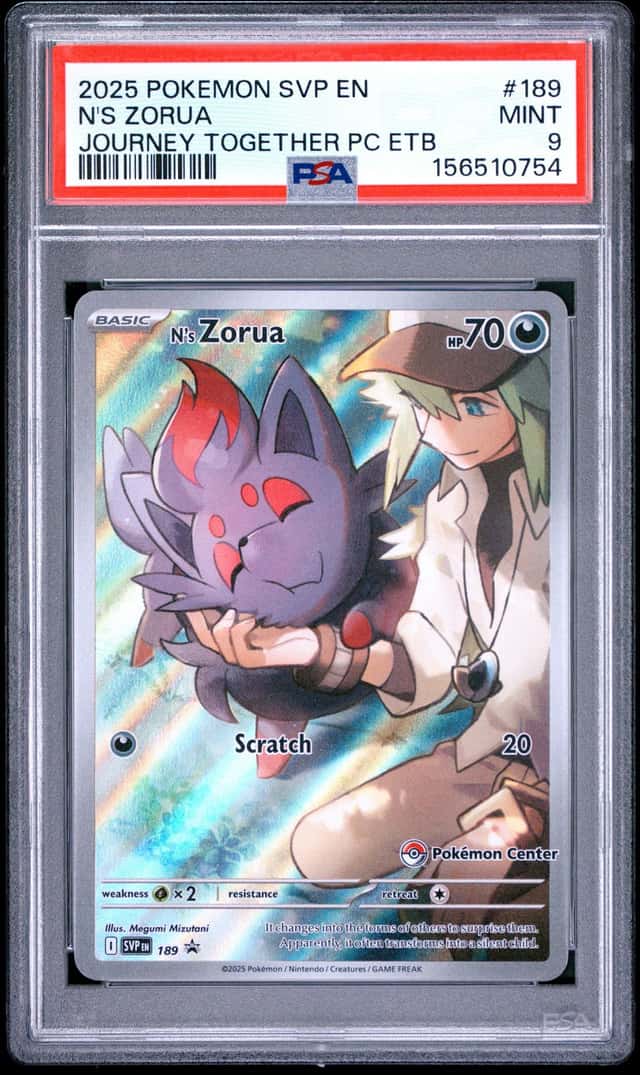 N's Zorua
