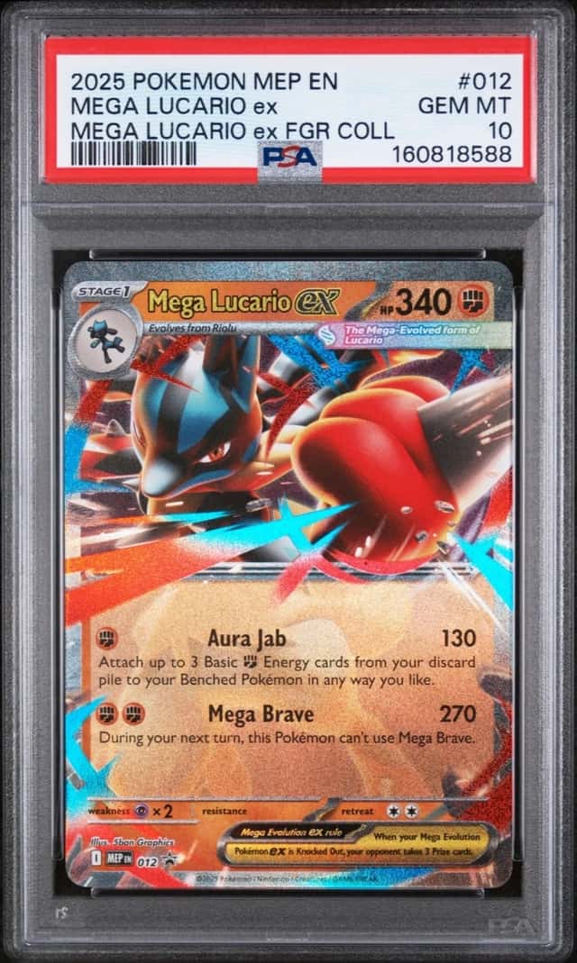 MEGA LUCARIO ex