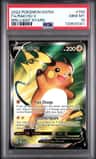 Raichu V