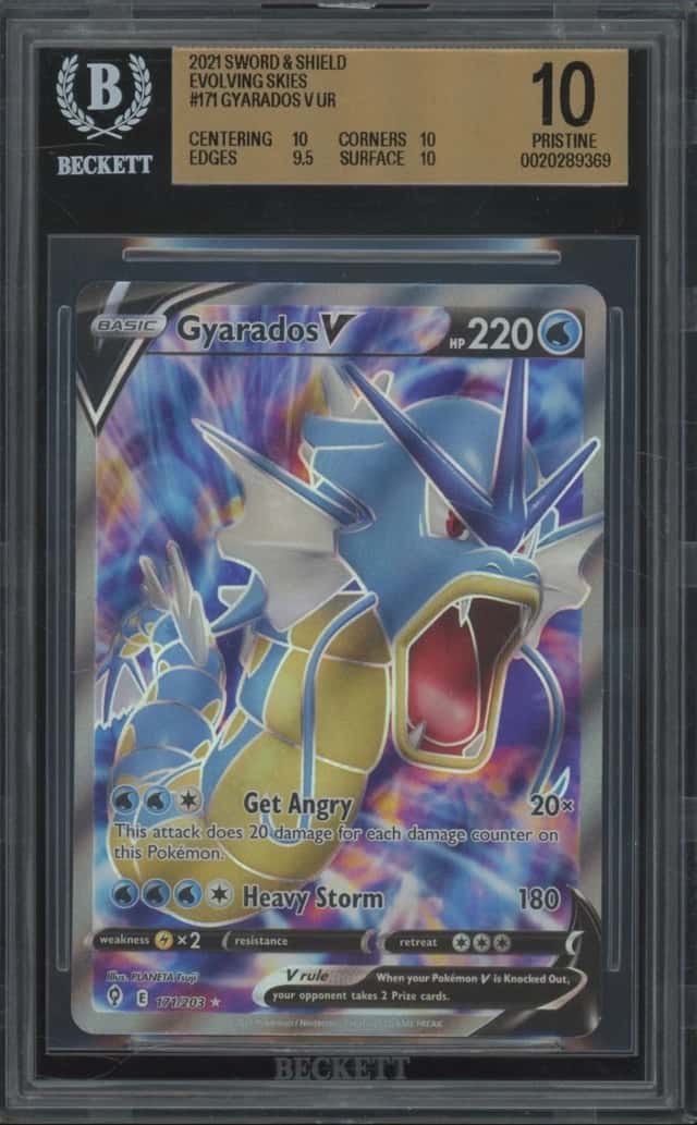 Gyarados V