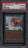 War Mammoth
