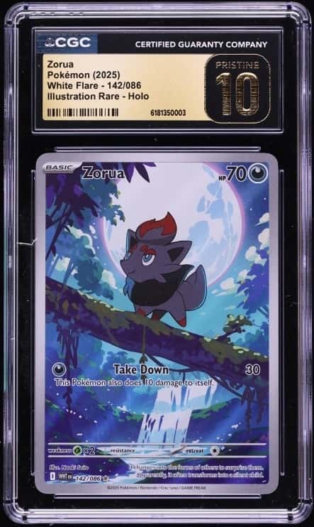 Zorua