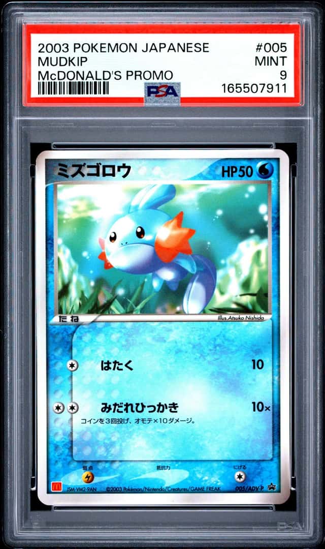 Mudkip