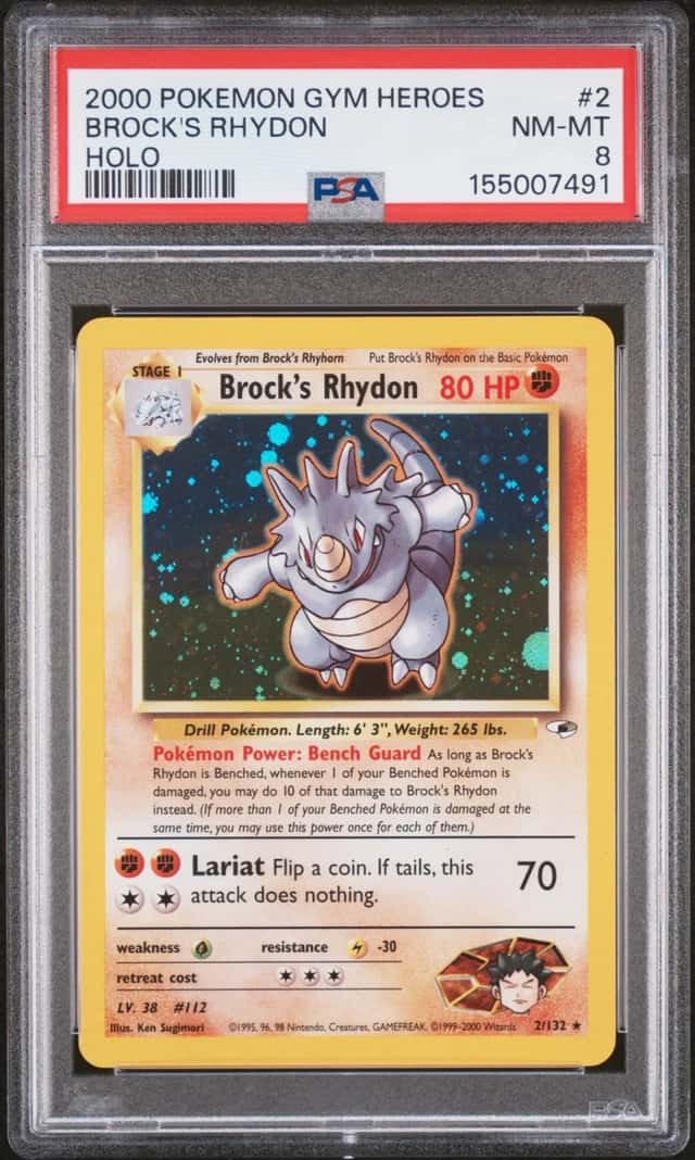 Brock's Rhydon