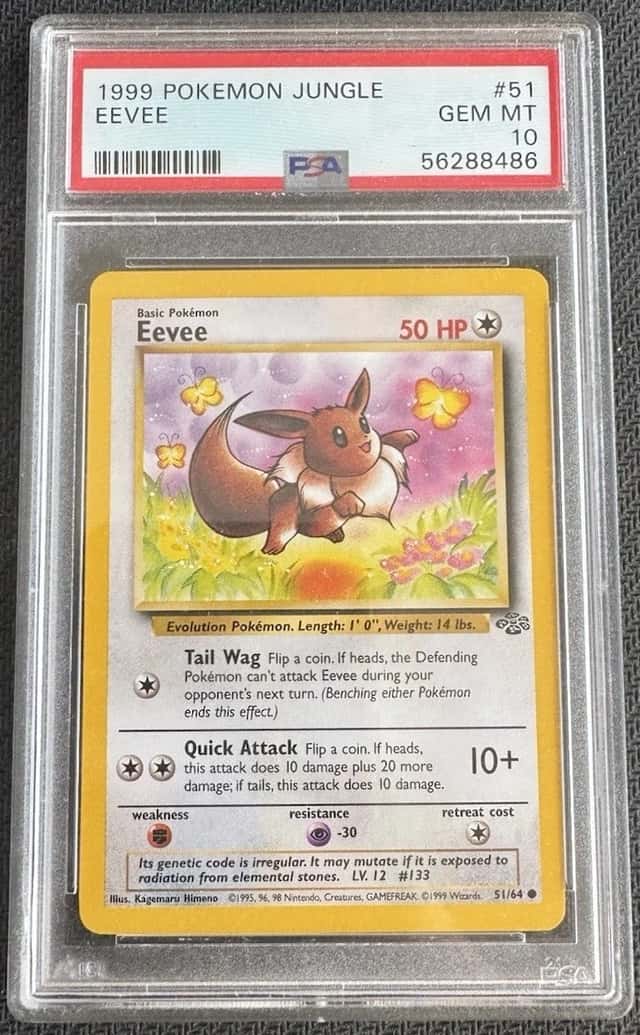Eevee