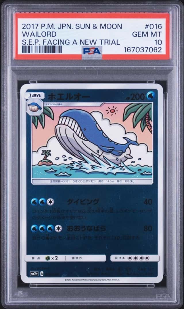 Wailord