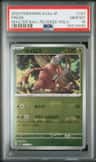 Pinsir