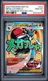 Mega Lucario Ex