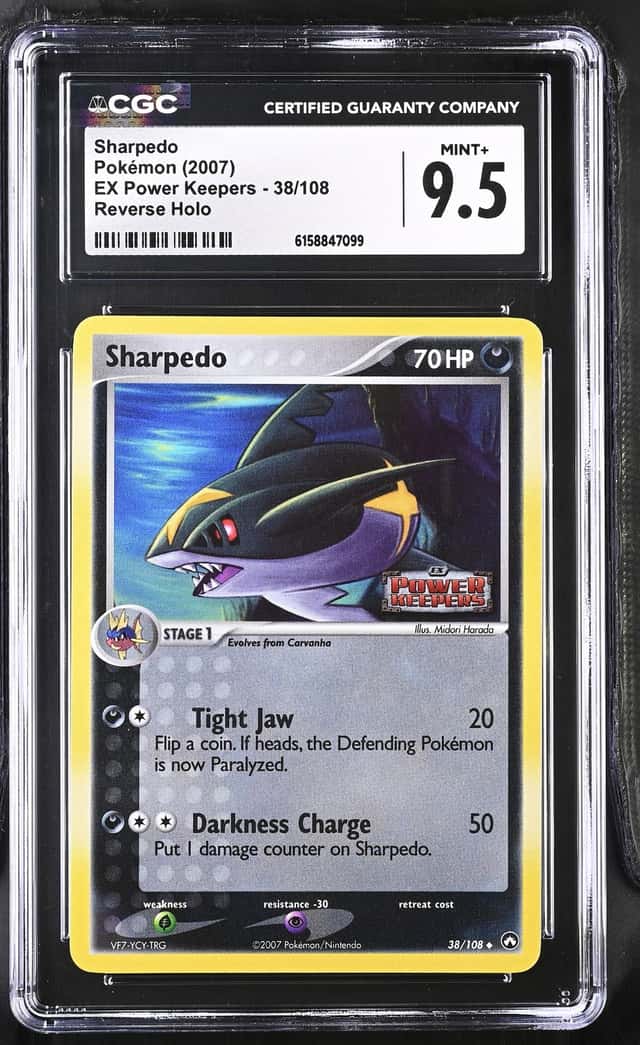 Sharpedo
