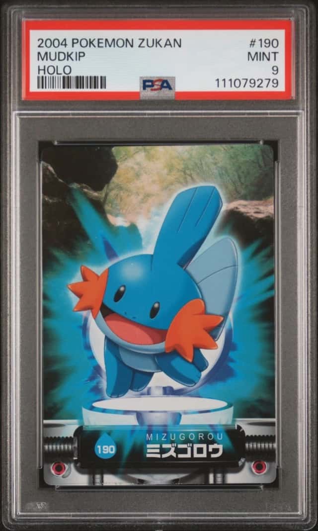 Mudkip
