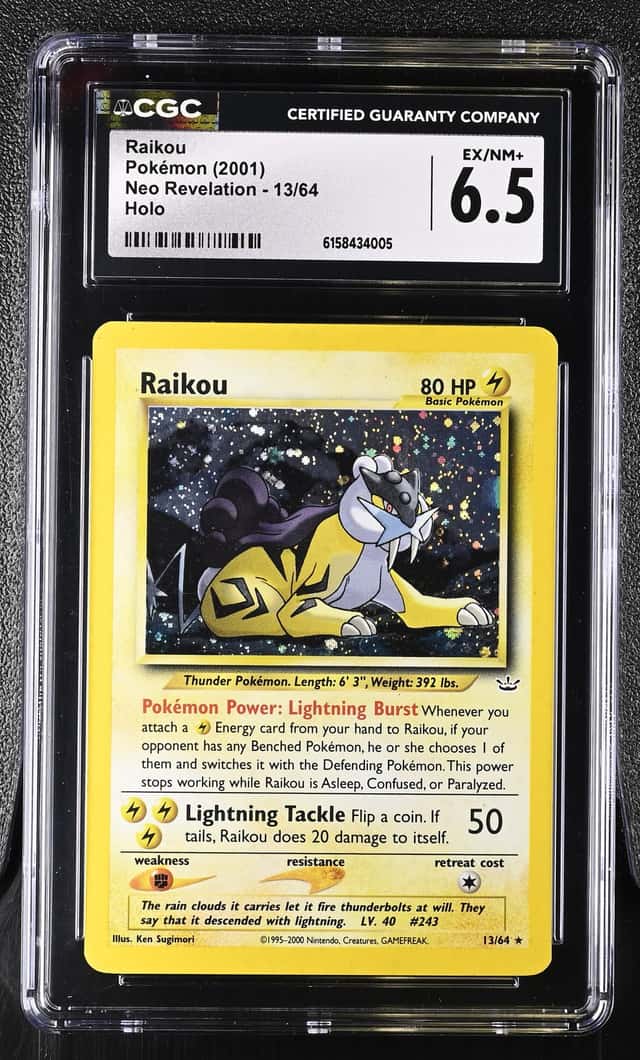 Raikou