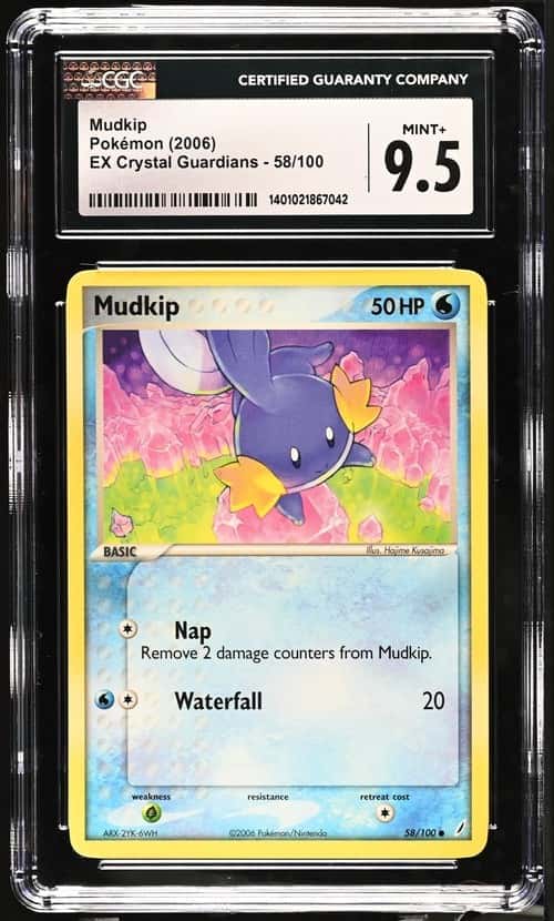 Mudkip