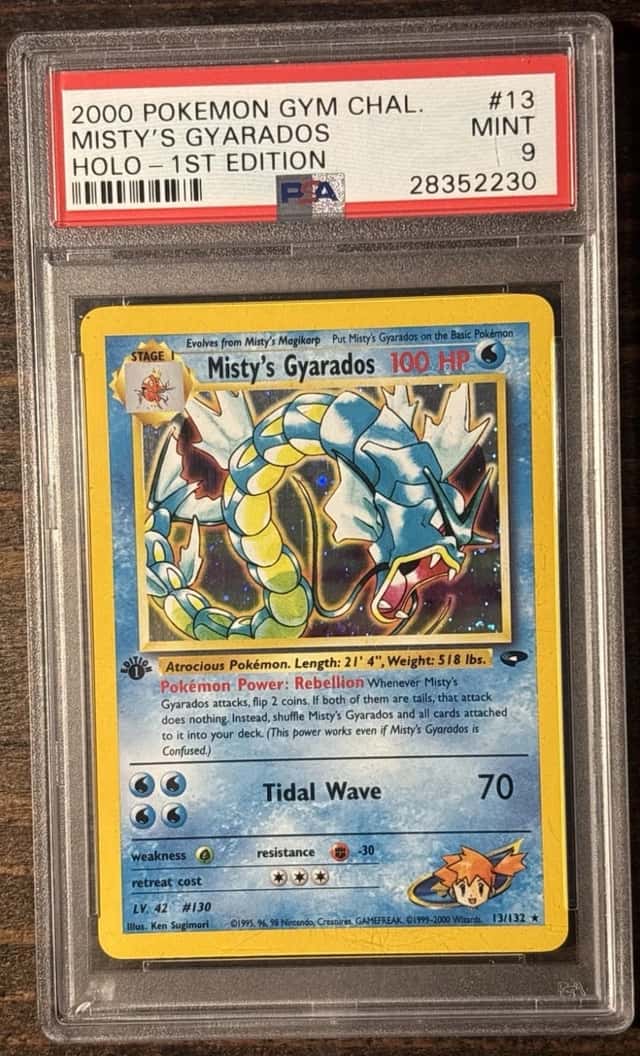 Misty's Gyarados