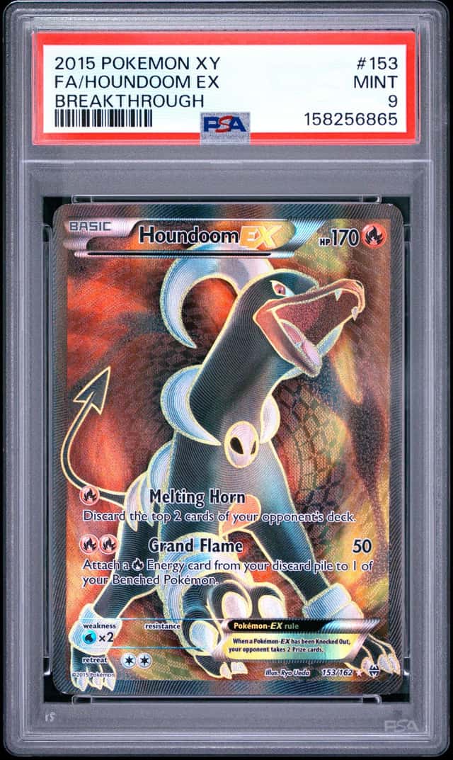 Houndoom EX