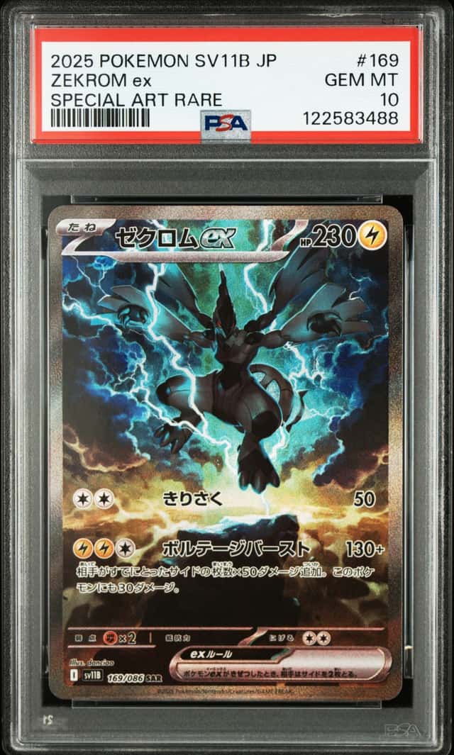 ZEKROM ex