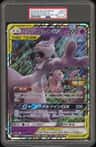 Mewtwo & Mew Gx