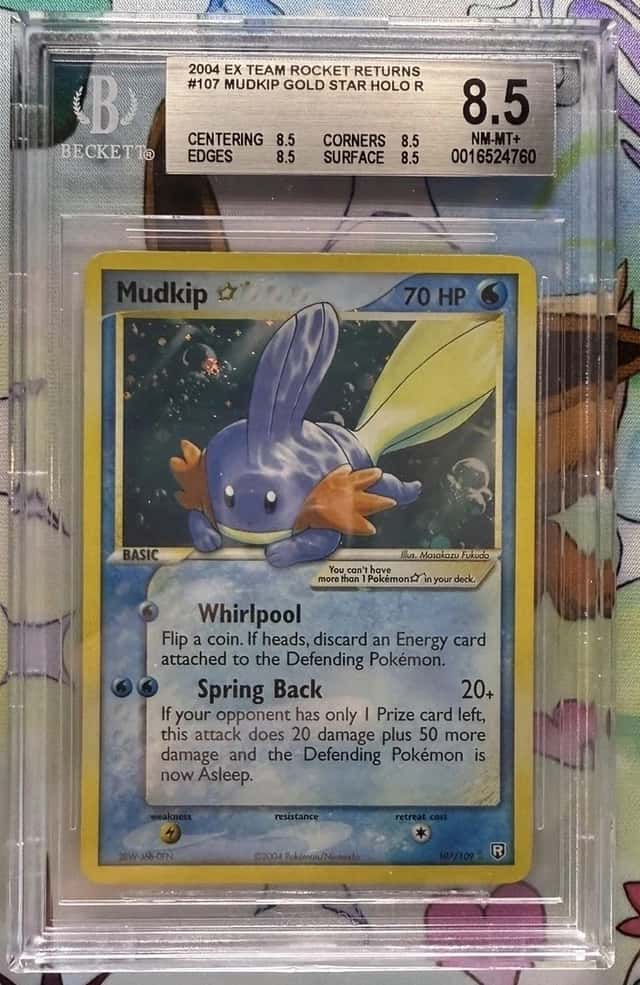 Mudkip
