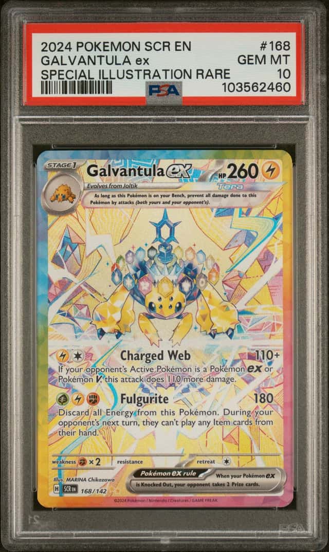 GALVANTULA ex