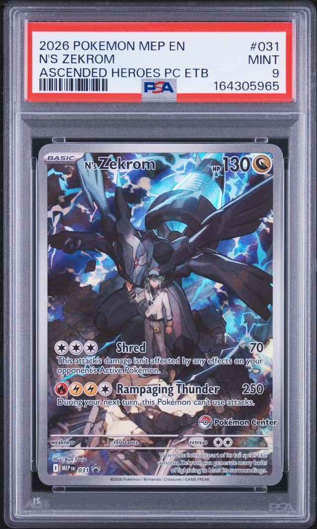 N's Zekrom